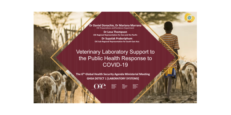 Veterinary Laboratory Support to the Public Health Response to COVID-19 / OIE-1